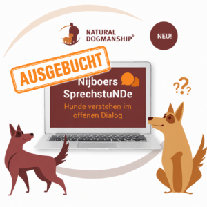 Nijboers SprechstuNDe – Hunde verstehen im offenen Dialog | Thema: Konsequente Inkonsequenz? Wann du wirklich klar sein solltest – und wann du deinem Hund Spielraum lässt | 20.05.2026 | Online